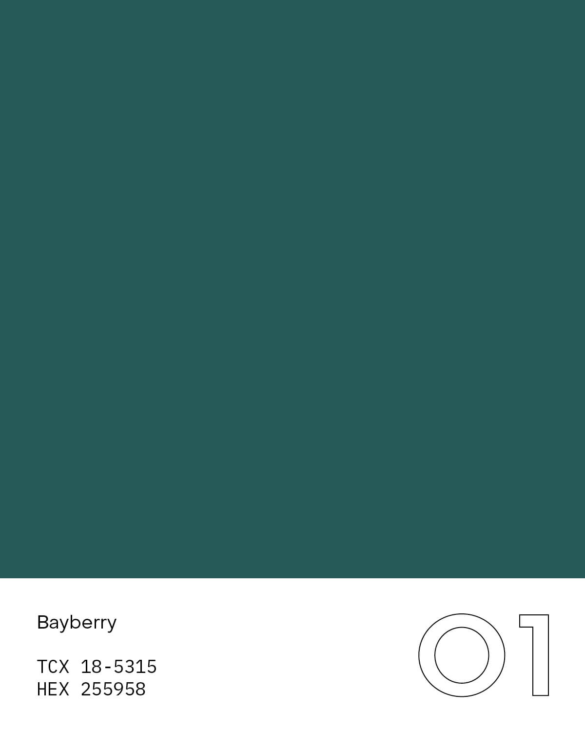 A bayberry color card showing the color of fabric the shirt is made in.