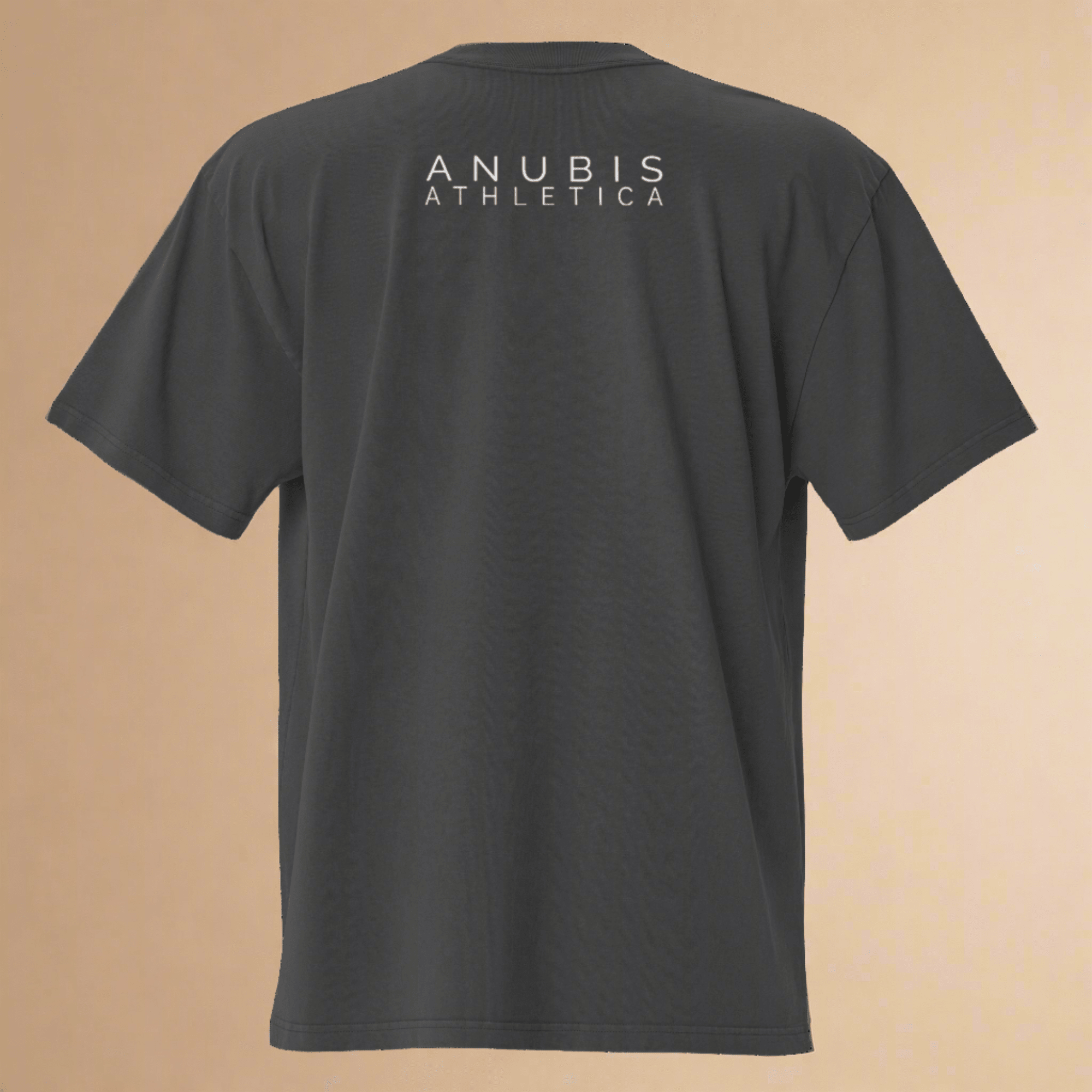 Dropshoulder Faded "Pump-Cover"