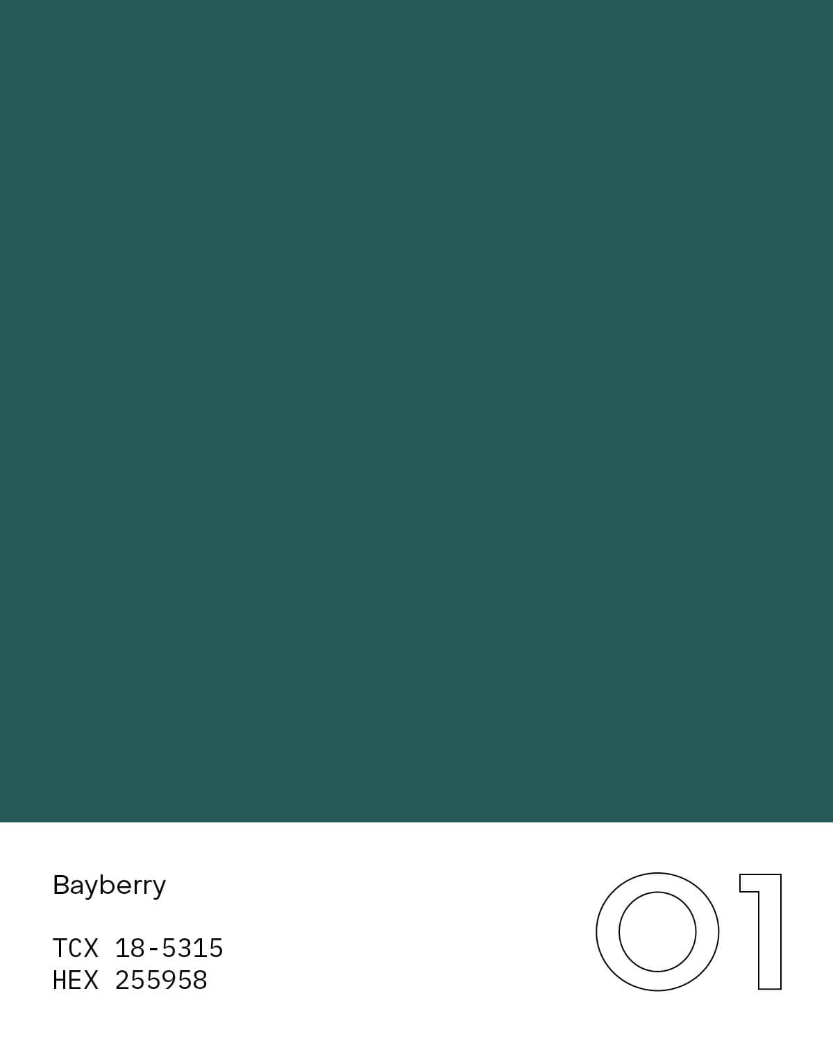 A bayberry color card showing the color of fabric the shirt is made in. 