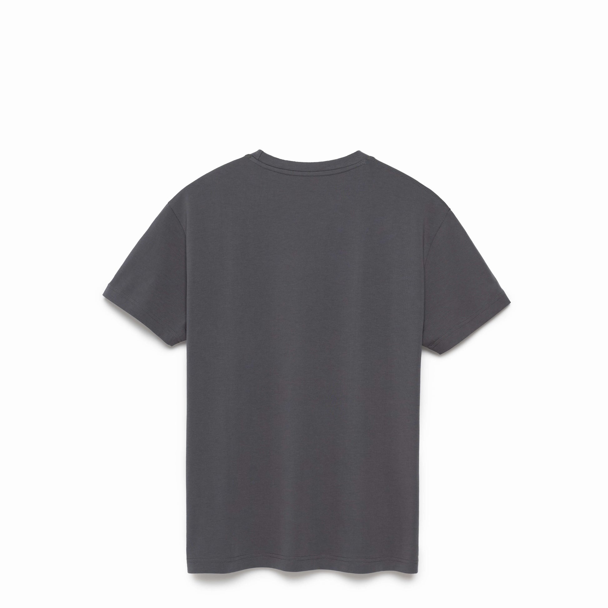 Back view of a grey tee shirt