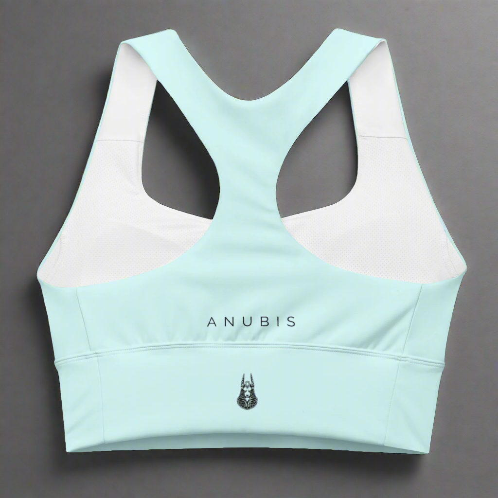 Endurance Sports Bra Mint