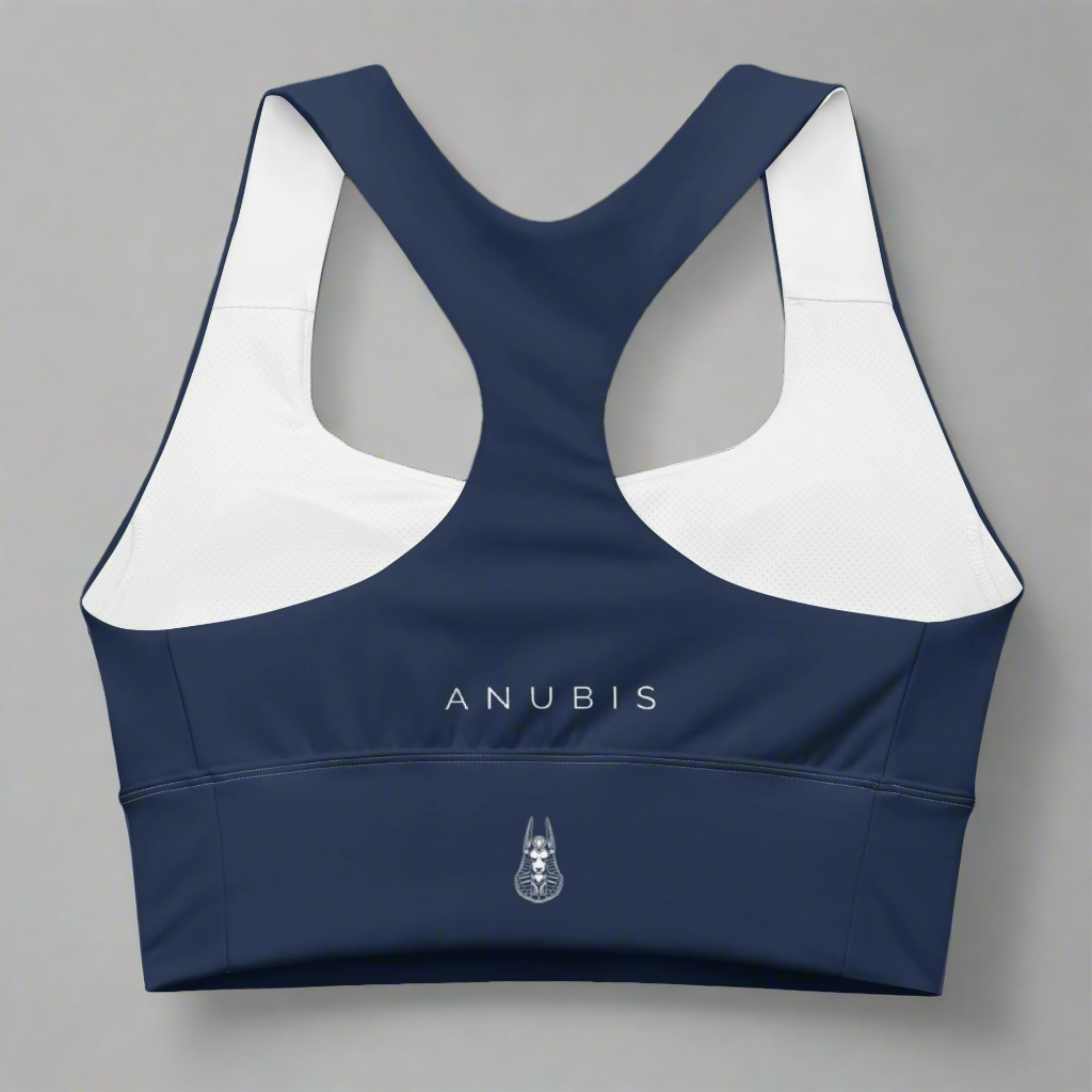 Endurance Sports Bra Sapphire