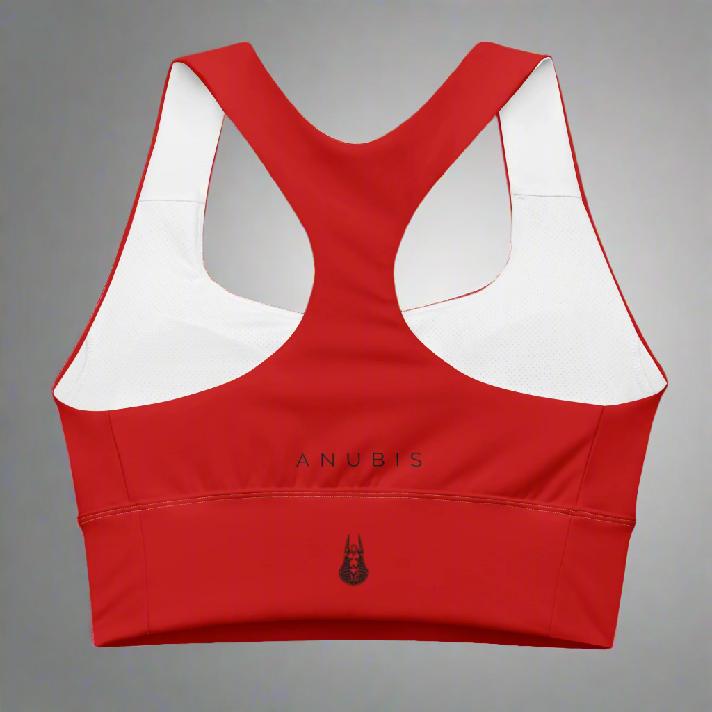 Endurance Sports Bra Ruby