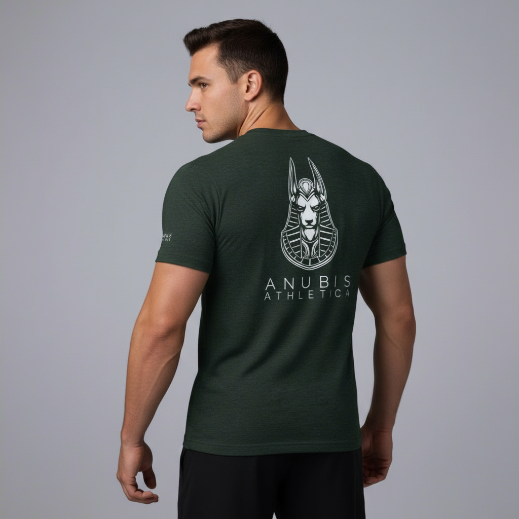 A gray crew neck t-shirt with a graphic print of Anubis on the back, branded with 'ANUBIS ATHLETICA'.